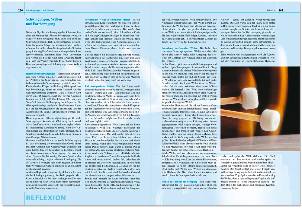 Andrea Paech,  dap design