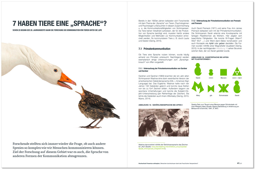 Andrea Paech,  dap design, studymag